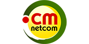 .net.cm domain names