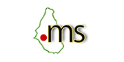 .co.ms domain names